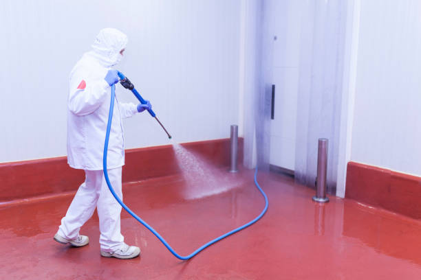 Best Patio and Deck Pressure Washing  in Tierra Verde, FL