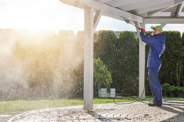 Best Driveway Pressure Washing  in Tierra Verde, FL